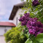 Villa Architekten-villa, Moderne 220qm, 4 Schlafzimmer, Garten Irschenberg